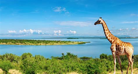 interesting facts about uganda.